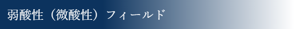 弱酸性(微酸性)フィールド