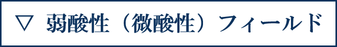 弱酸性（微酸性）