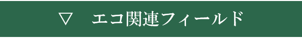 エコ関連フィールド