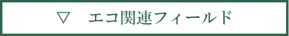 エコ関連フィールド