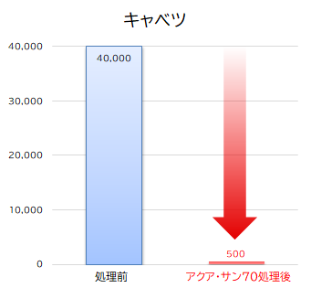 一般生菌キャベツ